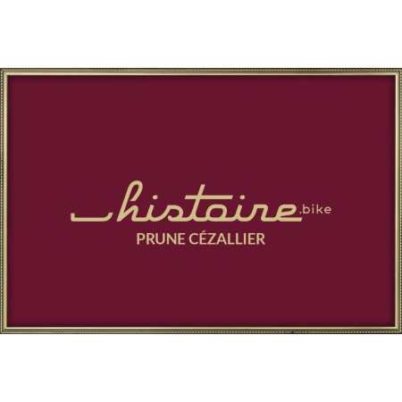 La Baroudeuse classique de chez HISTOIRE en stock chez NATURAVÉLO  Grenoble