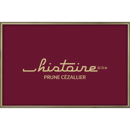 Voyageuse Classique Taille XS  PRUNE CEZALLIER